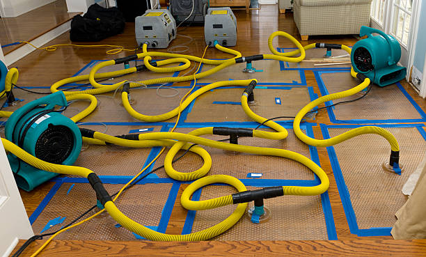 Professional Water Damage Repair technician working in Cedar Springs, MI